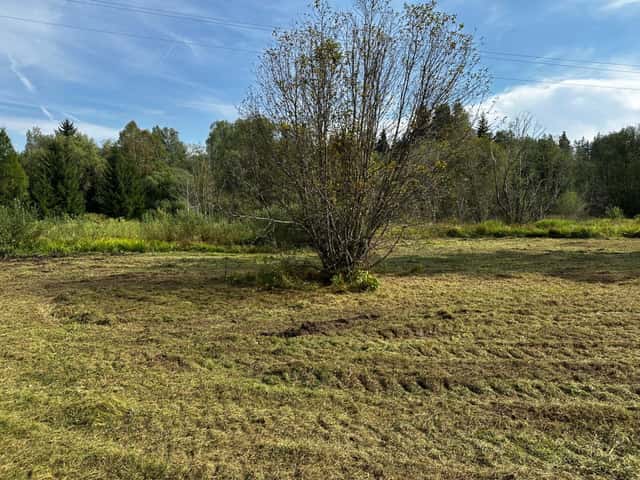 Prodej pozemku 8518 m², Nová Pec, okres Prachatice