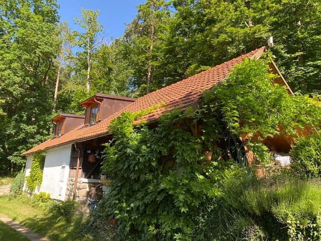 Pronájem objektu, Brloh – Jaronín, okres Český Krumlov