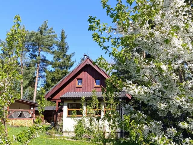 Pronájem objektu, Mladošovice – Lhota u Vlachnovic, okres České Budějovice