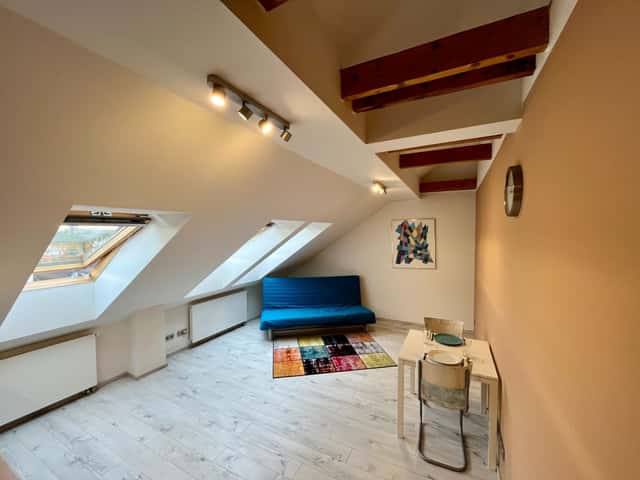 Pronájem bytu 1+kk 37 m², Sudova, Plzeň, okres Plzeň-město