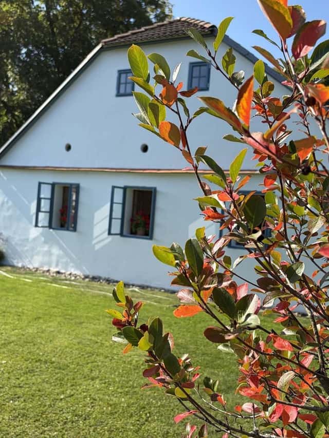 Pronájem objektu, Milešov – Milešov nad Vltavou, okres Příbram