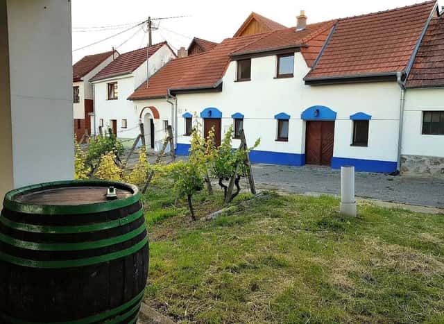 Pronájem objektu, Bořetice – Bořetice u Hustopečí, okres Břeclav