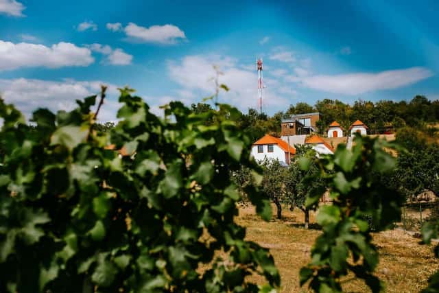 Pronájem objektu, Jaroslavice, okres Znojmo