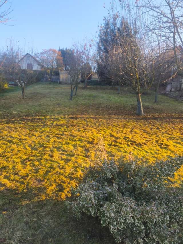 Prodej pozemku, Veltěže, okres Louny
