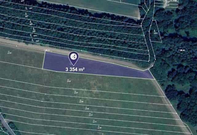 Prodej pozemku, Javorník – Javorník nad Veličkou, okres Hodonín
