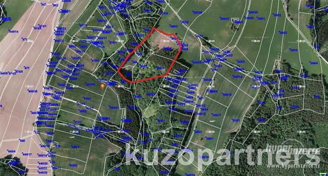 Prodej lesních pozemků v k.ú. Drozdov, okres Šumperk., Drozdov, okres Šumperk