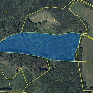Pronájem zemědělské půdy 23172 m² Dlouhá Třebová, Dlouhá Třebová, okres Ústí nad Orlicí