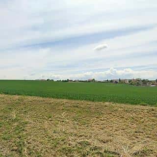 Prodej stavební parcely 43584 m² Čížkovice, Čížkovice, okres Litoměřice