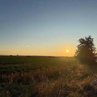 Prodej stavební parcely 603 m² Zdětín, Zdětín, okres Mladá Boleslav