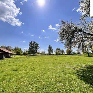 Prodej stavební parcely 3735 m² Krsy, Krsy, okres Plzeň-město