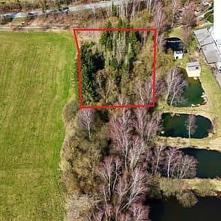 Prodej lesa 4442 m² Rodvínov, Rodvínov, okres Jindřichův Hradec