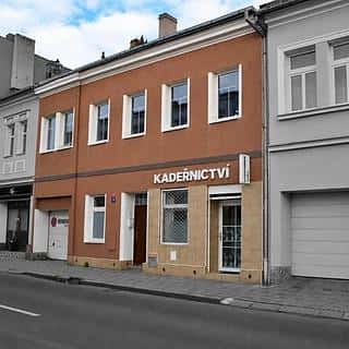 Prodej rodinného domu 304 m² Teplice, Štúrova, Teplice