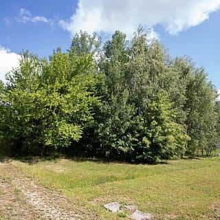 Prodej stavební parcely 1157 m² Dvorce, Dvorce, okres Jihlava