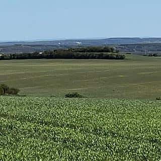 Prodej zemědělské půdy 9461 m² Polepy, Polepy, okres Litoměřice