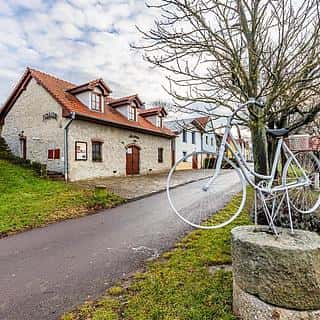 Prodej hotelu, penzionu 176 m² Nový Šaldorf-Sedlešovice, Na Staré cestě, Nový Šaldorf-Sedlešovice, okres Znojmo