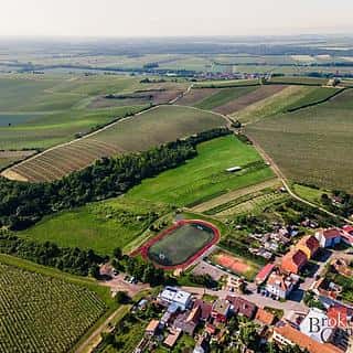 Prodej ostatních pozemků 256256 m² Zaječí, Zaječí, okres Břeclav