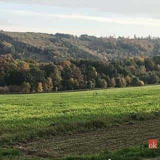 Prodej stavební parcely 1395 m² Čavisov, Čavisov, okres Ostrava-město