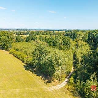 Prodej lesa 37347 m² Pardubice, Pardubice