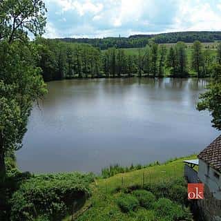 Prodej ostatních pozemků 19964 m² Žákava, Žákava, okres Plzeň-město