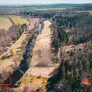 Prodej lesa 4109 m² Plešnice, Plešnice, okres Plzeň-město