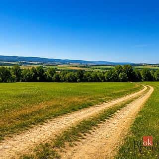 Prodej louky 3075 m² Borotín, Borotín, okres Blansko