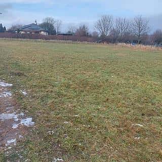 Prodej stavební parcely 79 m² Tršice, Tršice, okres Olomouc