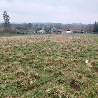 Prodej stavební parcely 5462 m² Polom, Polom, okres Přerov