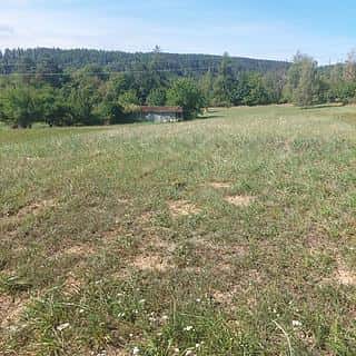 Prodej zahrady 3220 m² Stražisko, Stražisko, okres Prostějov