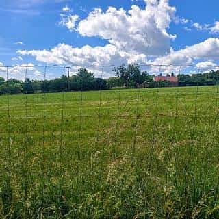 Prodej stavební parcely 867 m² Radslavice, Radslavice, okres Vyškov