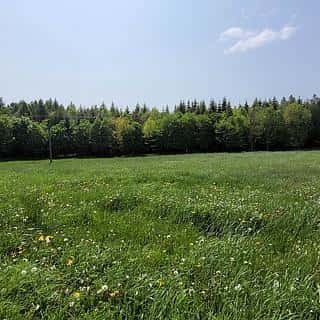 Prodej louky 2247 m² Moravský Beroun, Moravský Beroun, okres Olomouc