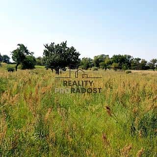 Prodej stavební parcely 2355 m² Lužice, Lužice, okres Hodonín