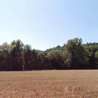 Prodej louky 4459 m² Traplice, Traplice, okres Uherské Hradiště