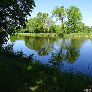 Pronájem ostatních pozemků 1000 m² Valy, Valy, okres Pardubice