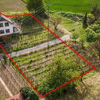 Prodej vinného sklepa 144 m² Skoronice, Skoronice, okres Hodonín