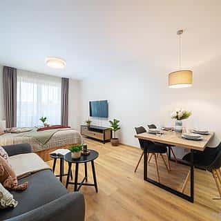 Prodej bytu 1+kk, garsoniery 50 m² Lipno nad Vltavou, Lipno nad Vltavou, okres Český Krumlov