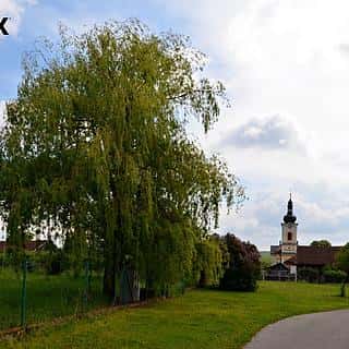 Prodej stavební parcely 2274 m² Chroustov, Chroustov, okres Nymburk