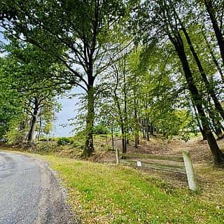 Prodej stavební parcely 402 m² Trhové Sviny, Trhové Sviny, okres České Budějovice