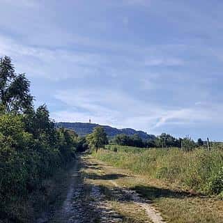 Prodej stavební parcely 834 m² Dolní Věstonice, Dolní Věstonice, okres Břeclav