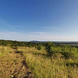 Prodej zahrady 1751 m² Židlochovice, Židlochovice, okres Brno-venkov