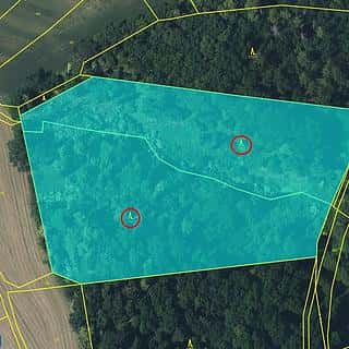 Prodej lesa 21606 m² Kovanec, Kovanec, okres Mladá Boleslav