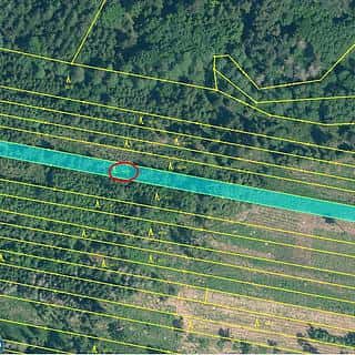 Prodej lesa 32955 m² Jickovice, Jickovice, okres Písek