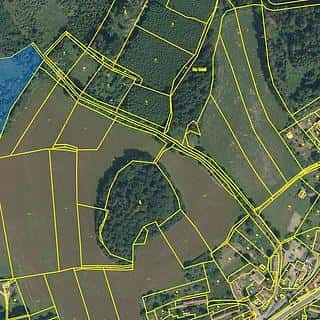 Prodej lesa 6402 m² Oselce, Oselce, okres Plzeň-město