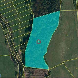 Prodej lesa 9664 m² Číchov, Číchov, okres Třebíč