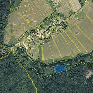 Prodej lesa 6298 m² Mnichov, Mnichov, okres Domažlice