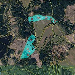 Prodej lesa 20620 m² Studená, Studená, okres Jindřichův Hradec