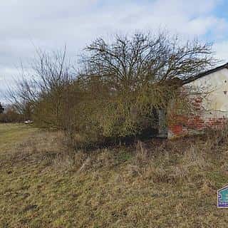 Prodej zemědělského objektu 144 m² Kotovice, Kotovice, okres Plzeň-město