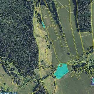 Prodej louky 9771 m² Lesná, Lesná, okres Tachov