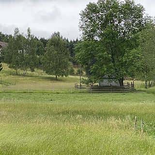 Prodej louky 4190 m² Děčín, Děčín