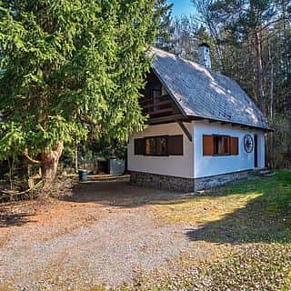 Prodej chaty 60 m² Dřešín, Dřešín, okres Strakonice