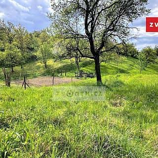 Prodej zahrady 852 m² Halenkovice, Halenkovice, okres Zlín